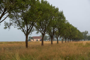 Uriel Lehmann Fotografie